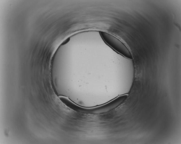 X0000101951532200808081454