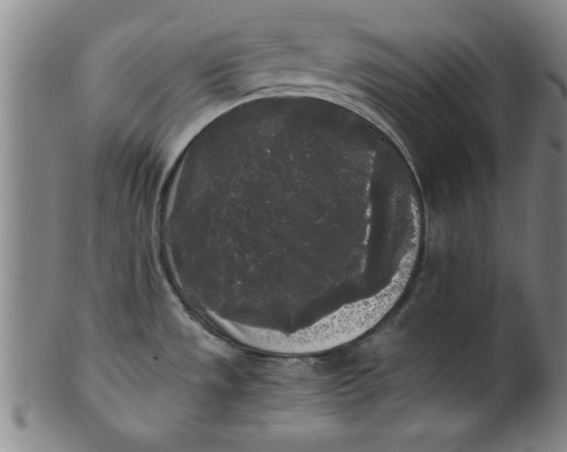 X0000101951533200808081454