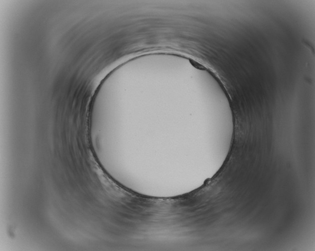 X0000101951534200808081454