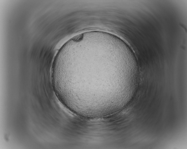 X0000101951535200808081454