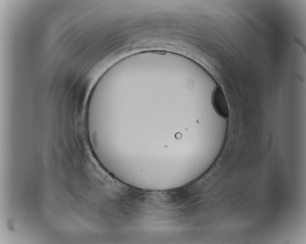 X0000101951536200808081454