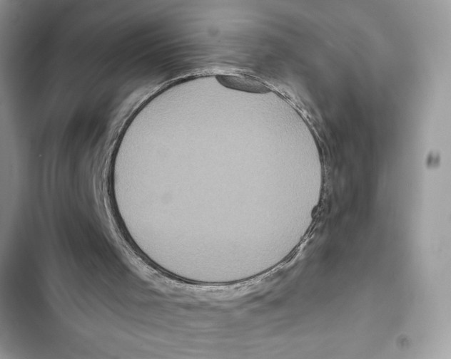 X0000101950001200808151303