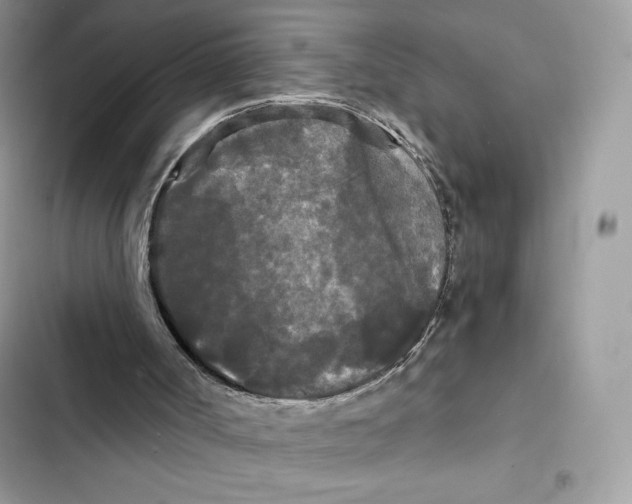X0000101950002200808151303