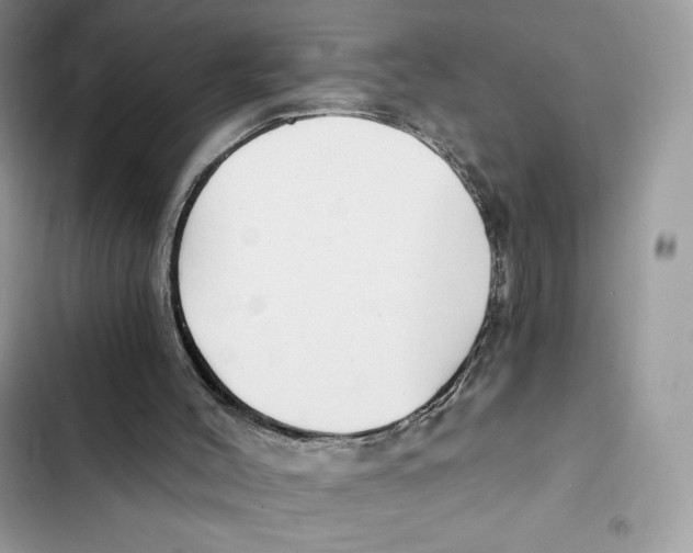 X0000101950004200808151303