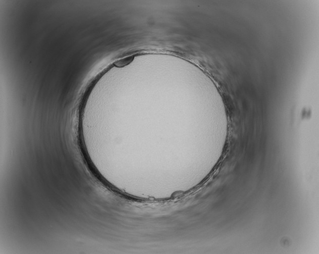 X0000101950005200808151303