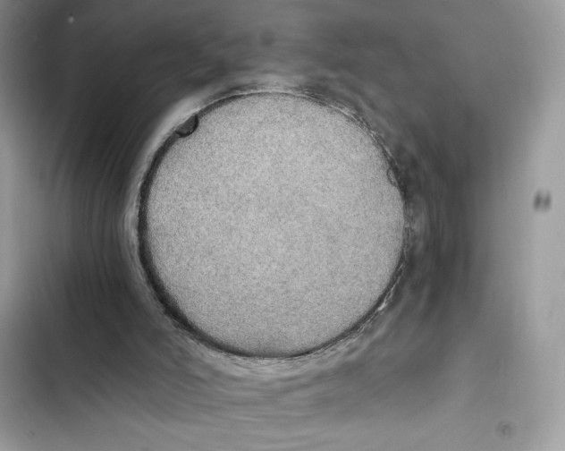 X0000101950006200808151303
