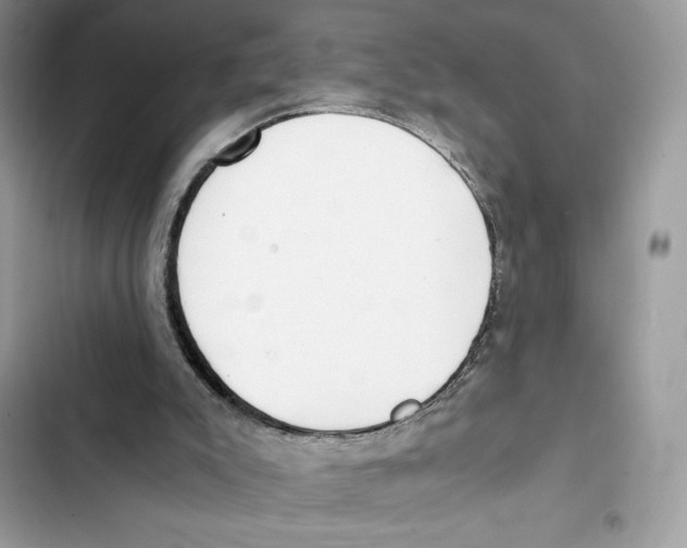 X0000101950007200808151303
