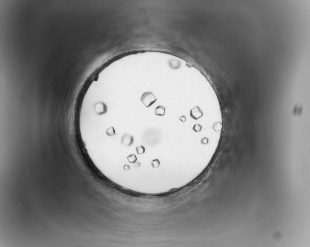 X0000101950008200808151303