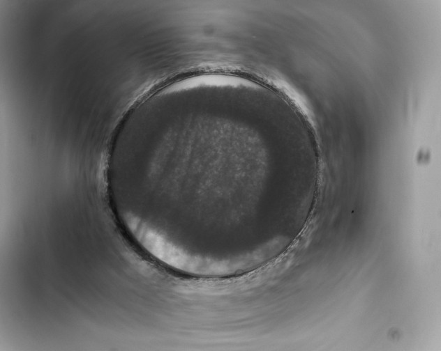 X0000101950009200808151303