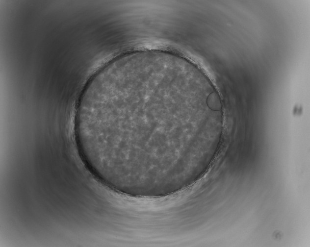 X0000101950010200808151303