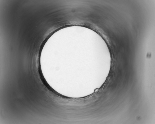 X0000101950011200808151303