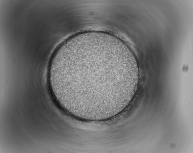 X0000101950012200808151303