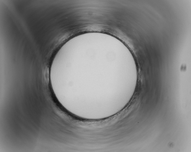 X0000101950013200808151303