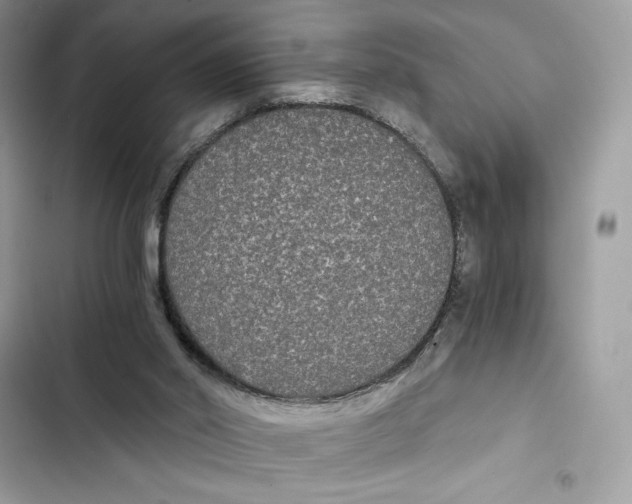 X0000101950014200808151303