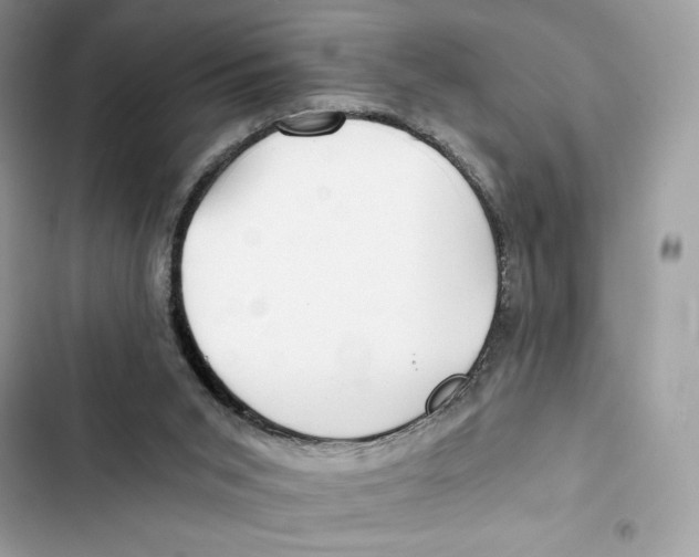 X0000101950015200808151303