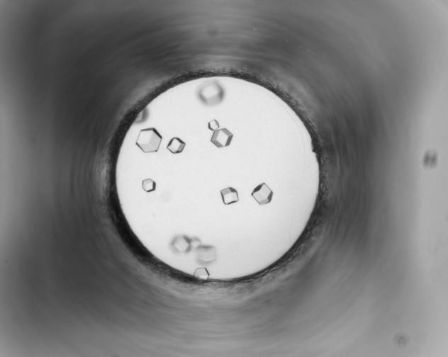 X0000101950016200808151303