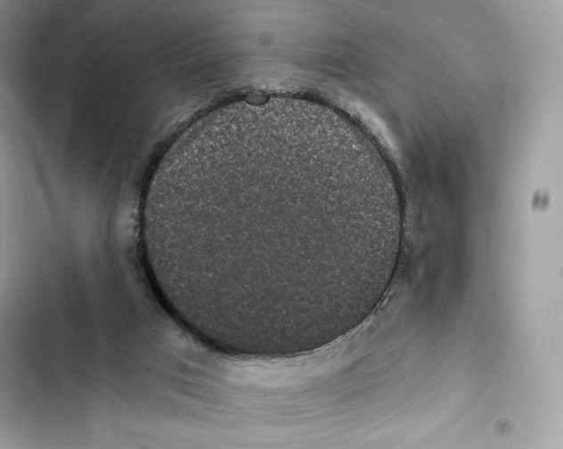 X0000101950017200808151303