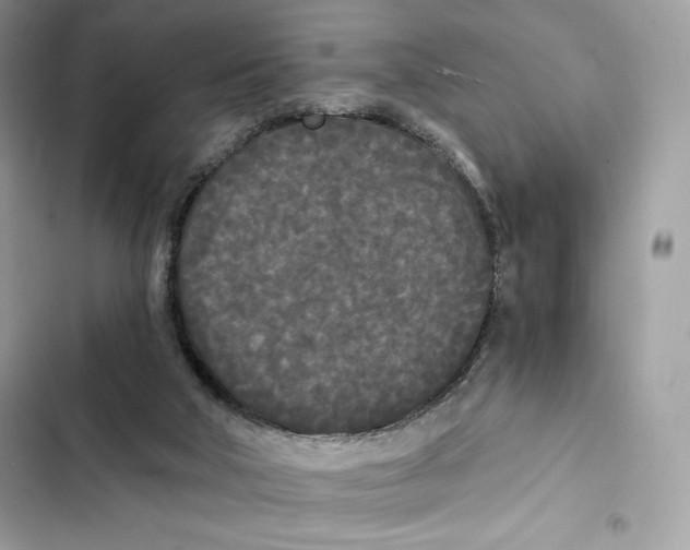 X0000101950018200808151303