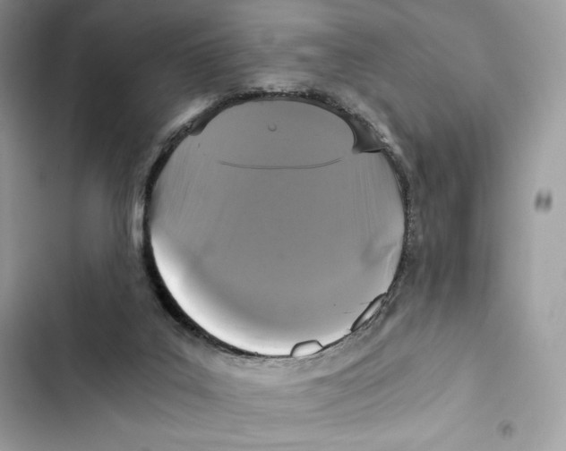 X0000101950019200808151303