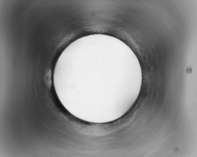 X0000101950020200808151303