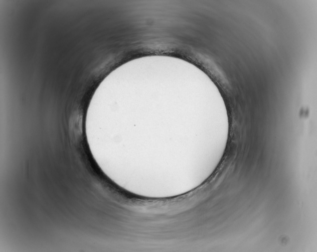 X0000101950021200808151303