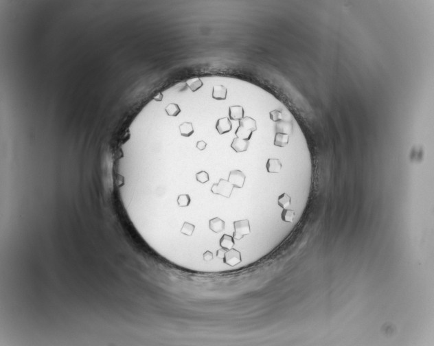 X0000101950022200808151303