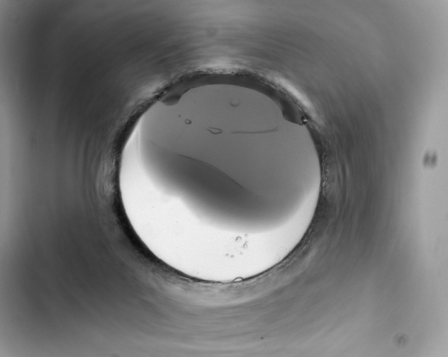 X0000101950023200808151303