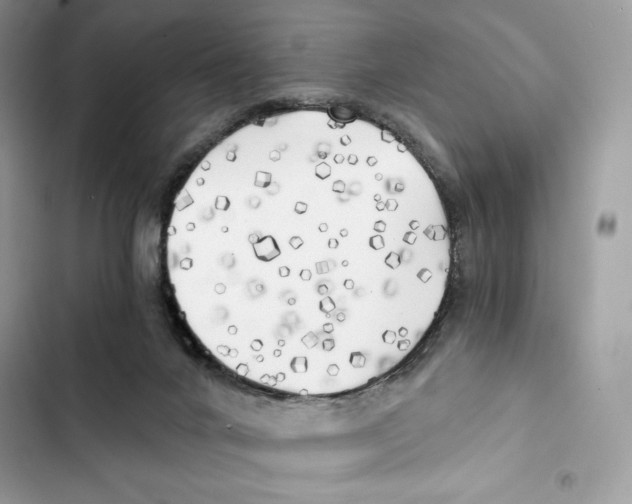 X0000101950024200808151303