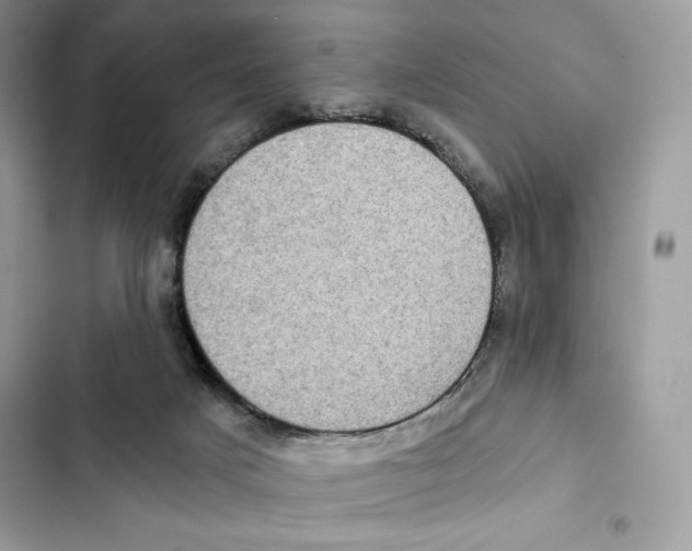 X0000101950025200808151303