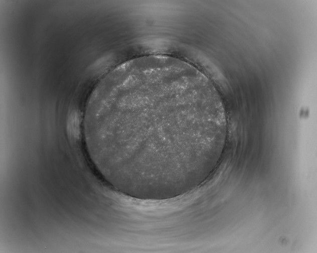 X0000101950026200808151303
