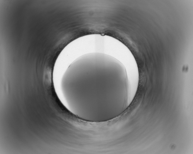 X0000101950027200808151303