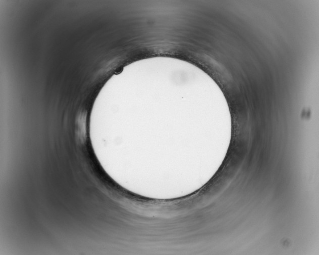 X0000101950028200808151303