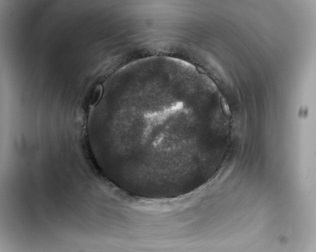 X0000101950029200808151303