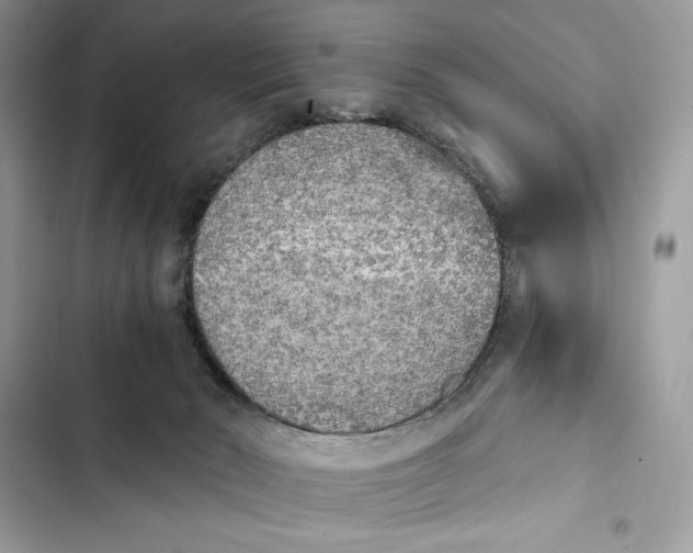 X0000101950030200808151302