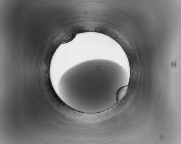 X0000101950031200808151302