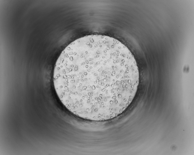 X0000101950032200808151302