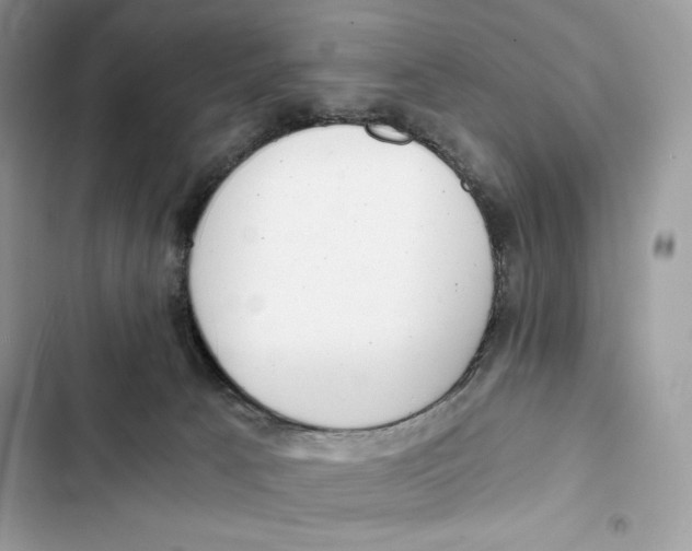 X0000101950033200808151302