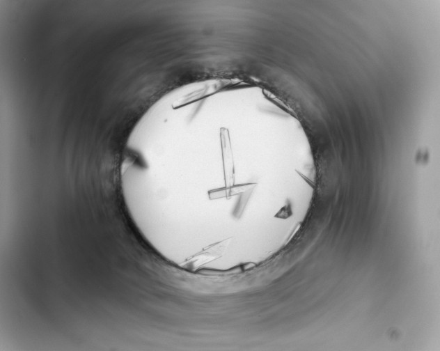 X0000101950034200808151302