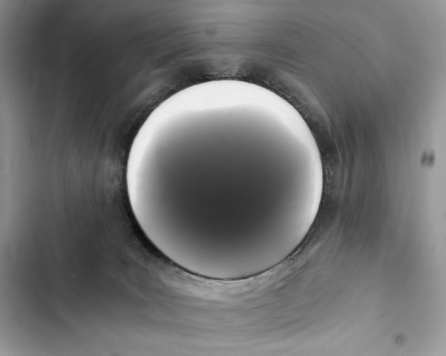 X0000101950035200808151302