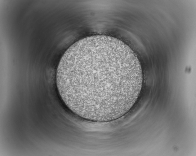 X0000101950036200808151302