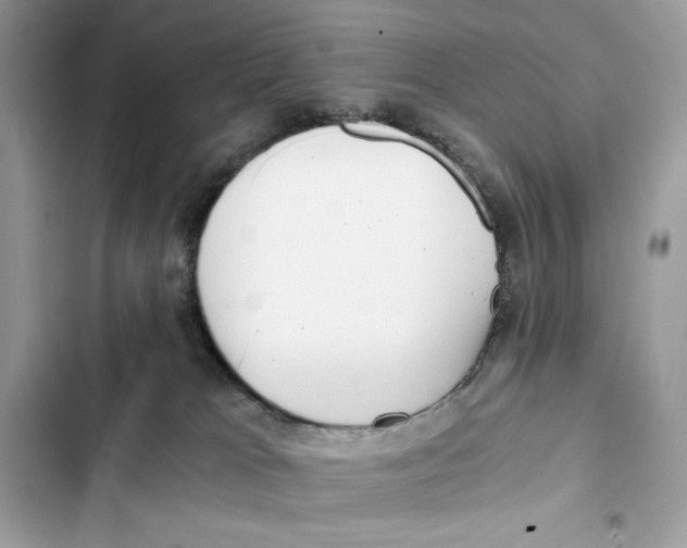 X0000101950037200808151302