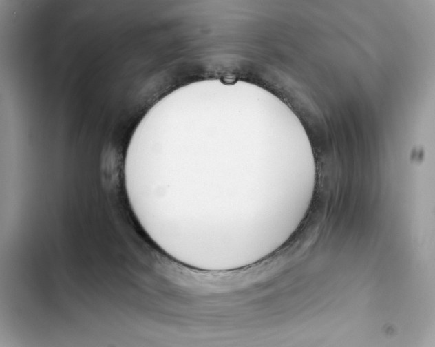 X0000101950038200808151302