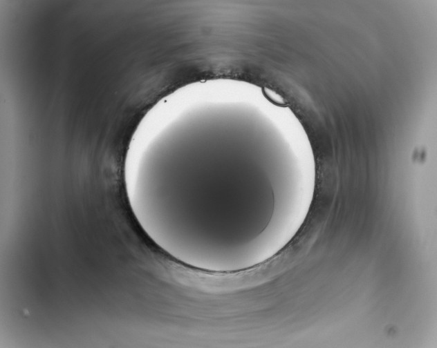 X0000101950039200808151302