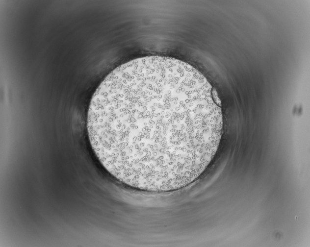 X0000101950040200808151302