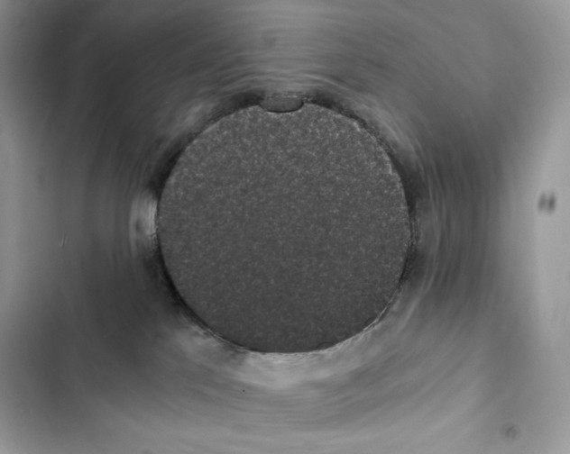 X0000101950041200808151302