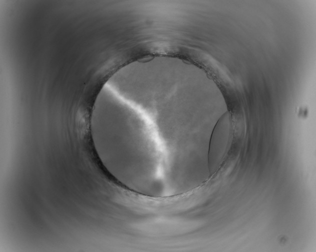 X0000101950043200808151302