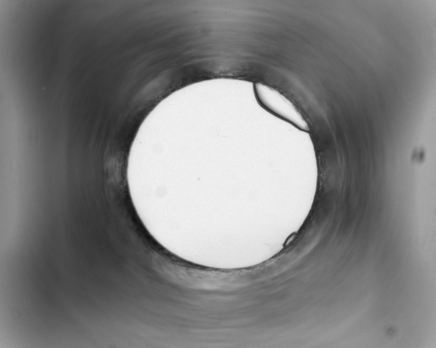 X0000101950044200808151302