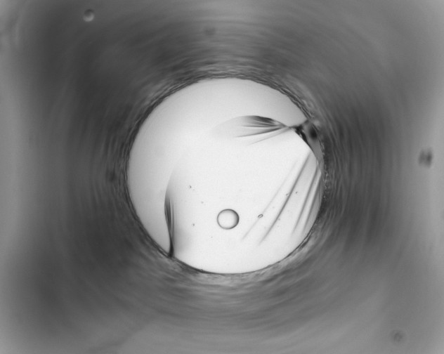 X0000101950045200808151302