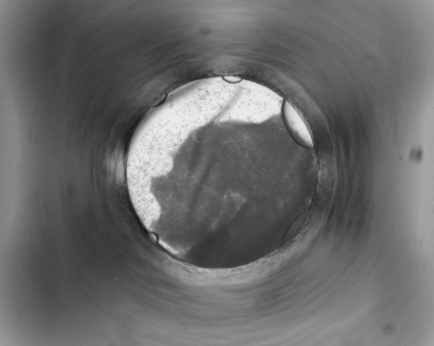 X0000101950046200808151302
