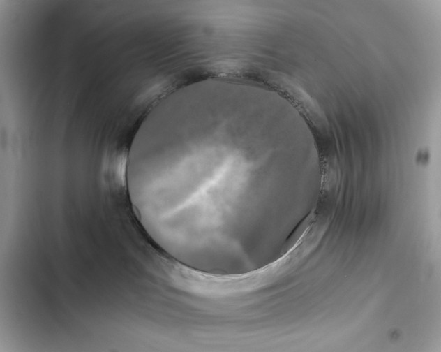 X0000101950047200808151302